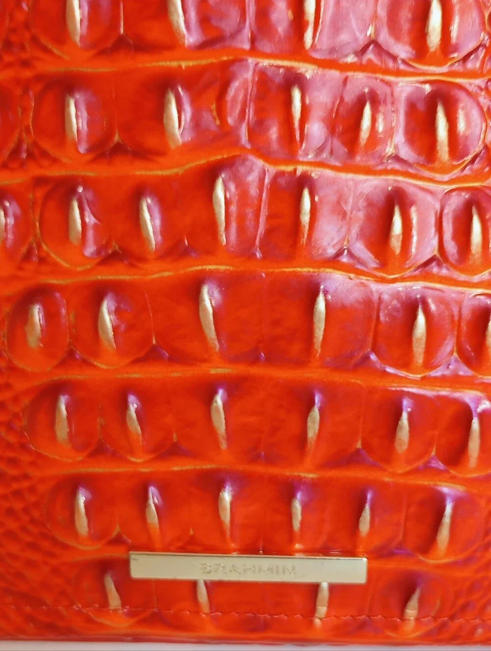 Brahmin small ashlee
